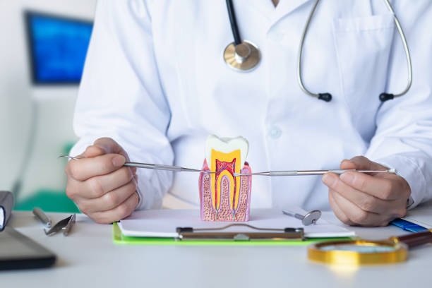 Best Emergency Dental Care for Broken or Chipped Teeth in Monteagle, TN